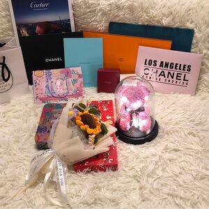 Pink LED Teddy Bear in Clear Dome  (Free Gift On Last Picture & Mystery Clothes)